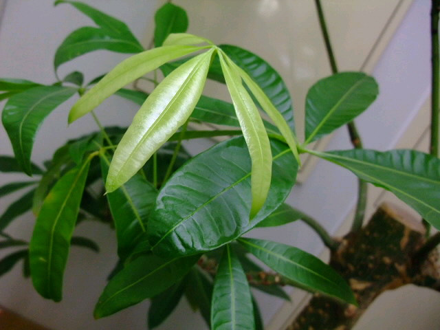 ML_DSCF5094.jpg