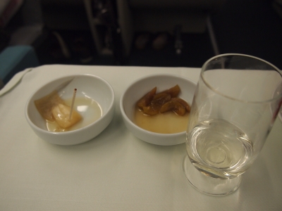 セブ インチョン セブ 大韓航空