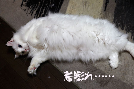 着膨れシュシュ