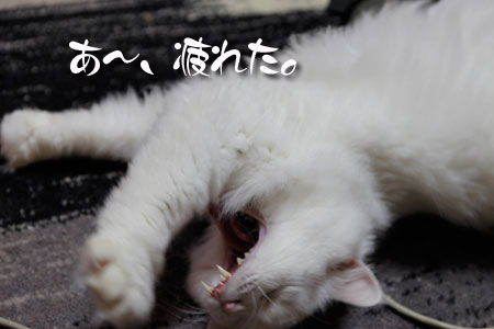 大あくび