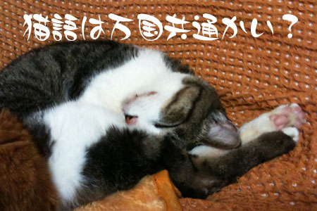頭の上の足