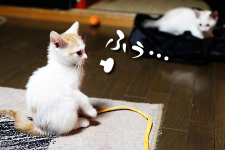 遊び疲れて…