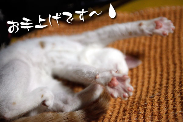 お手上げごーちゃん