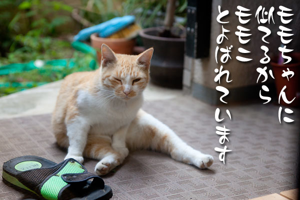 ももに