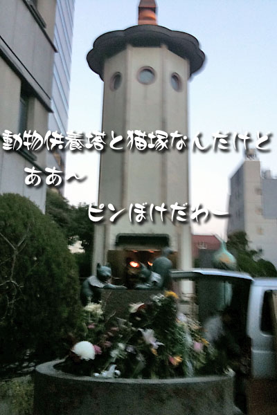 供養塔と猫塚