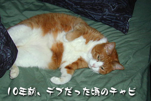 10年前デブだった頃のチャビ