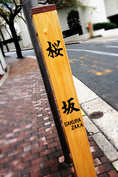 今年もこの坂を上る