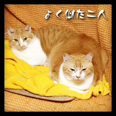 よく似た二人