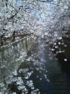 090402_1210~0001.jpg