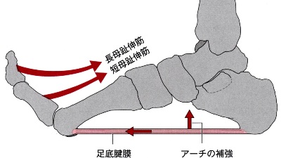 http://img-cdn.jg.jugem.jp/492/2325899/20120705_2148682.jpg