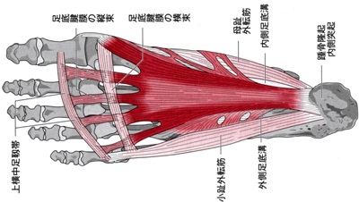 http://img-cdn.jg.jugem.jp/492/2325899/20120705_2148683.jpg