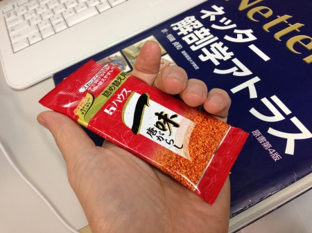 うるうカイロプラクティック、整体、腰痛、霧島市、唐辛子、トウガラシ、