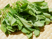 こんな野菜を使う