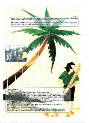 マダガスカルうら