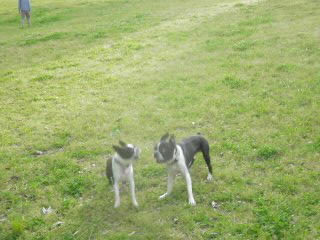 100503_1721~010001.jpg