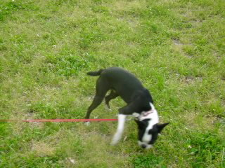 100503_1730~020001.jpg