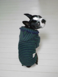 110109_2123~01.jpg