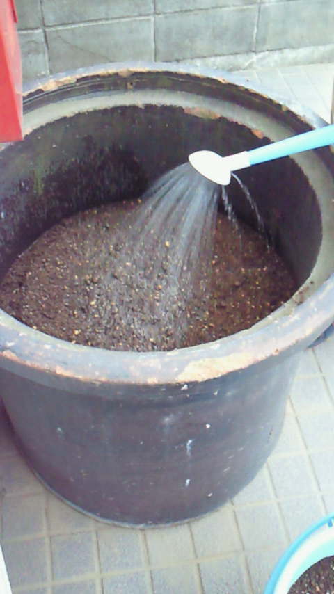 201106011732002.jpg