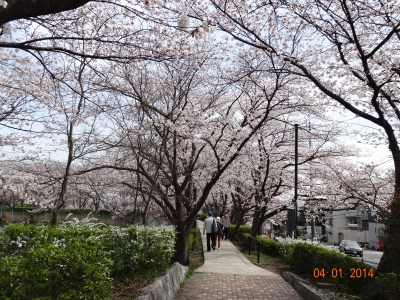 DSC06723.JPG