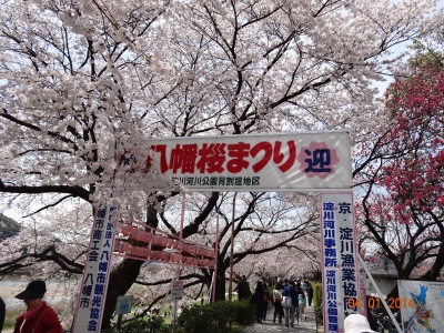 DSC06743.JPG