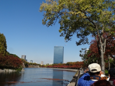 DSC08432.JPG