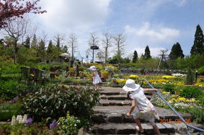 DSC06273.JPG