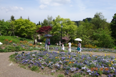 DSC06292.JPG