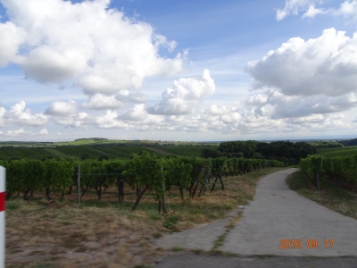 DSC09681.JPG