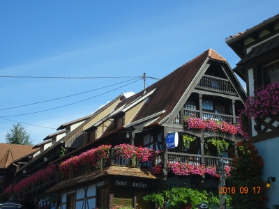 DSC09687.JPG