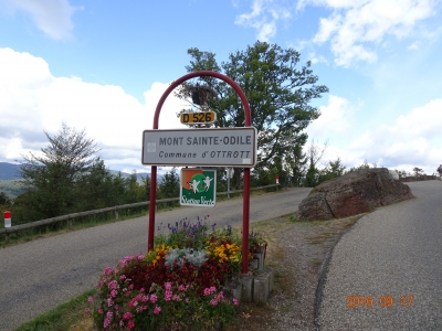 DSC09695.JPG