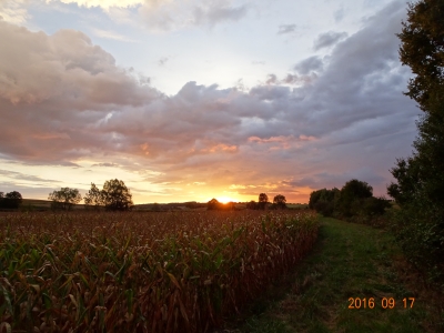 DSC09766.JPG