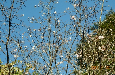 DSC03991.JPG