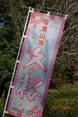 DSC03992.JPG