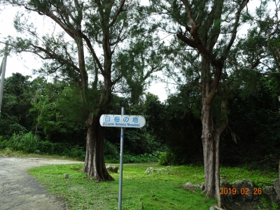 DSC00103.JPG