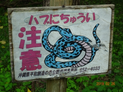 DSC00104.JPG