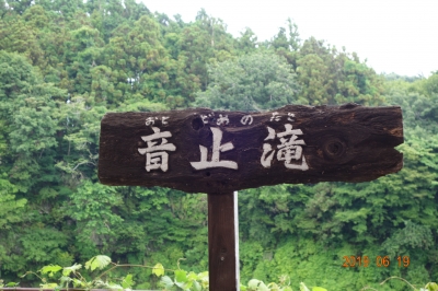 DSC07264.JPG