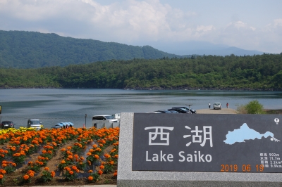 DSC07288.JPG