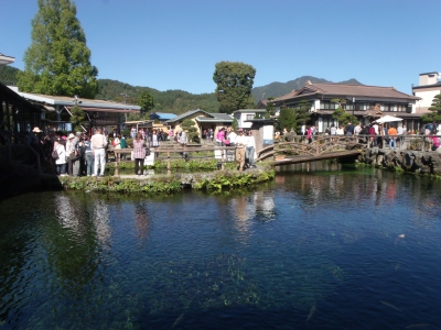 wakuike