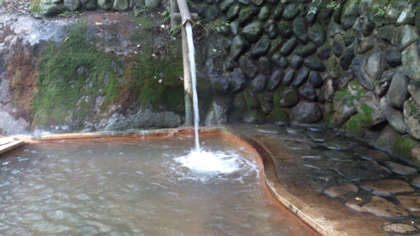 DSC_3675.jpg