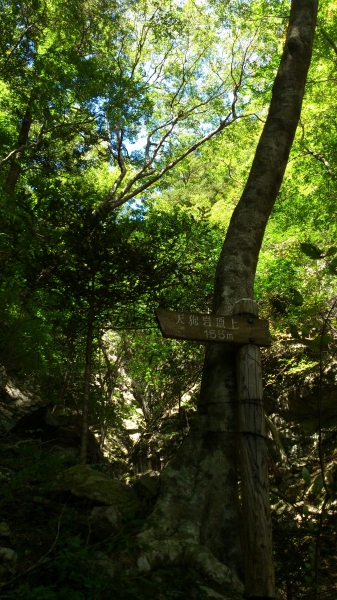DSC_3887.jpg