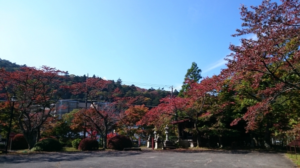 DSC_0005.JPG