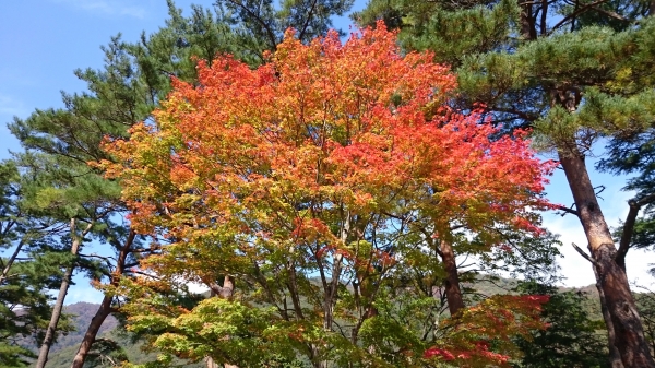 DSC_0019.JPG