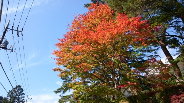 DSC_0020.JPG