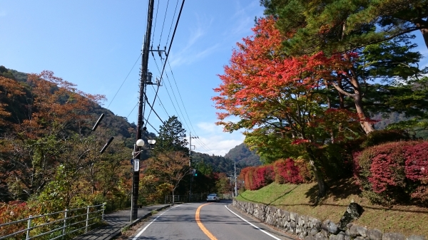 DSC_0021.JPG