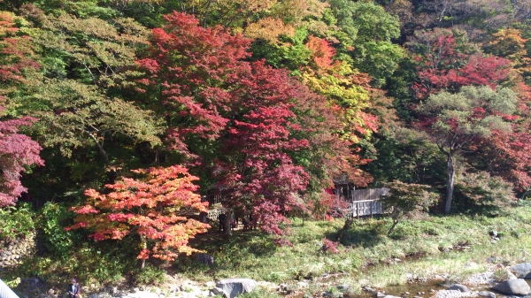 DSC_4192.jpg