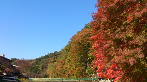 DSC_4194.jpg