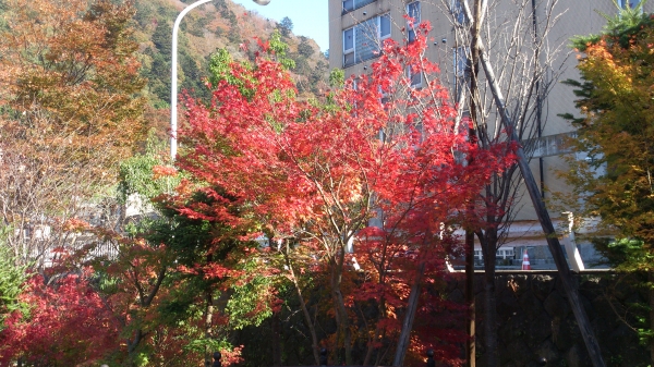 DSC_4202.jpg