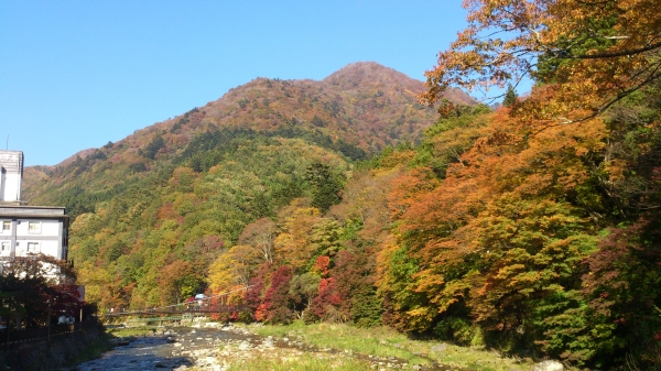 DSC_4209.jpg