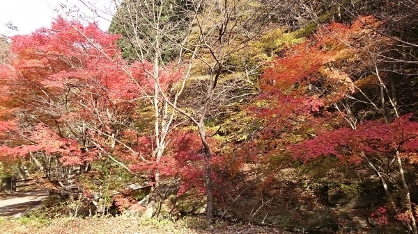 DSC_4391.JPG