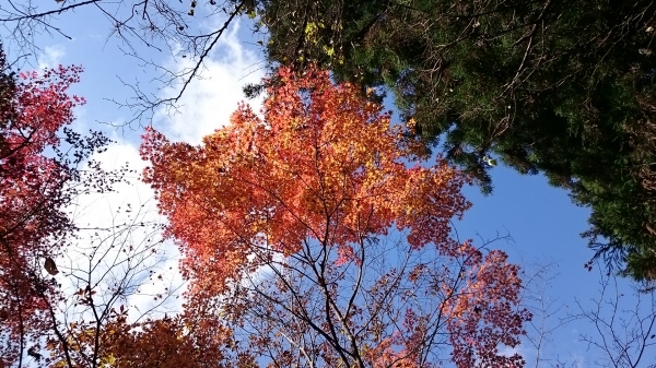 DSC_4400.JPG